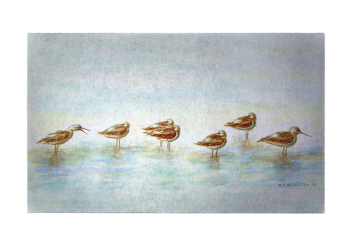 Avocets Door Mat